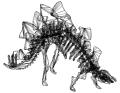 3D Stegosaurus (185K)